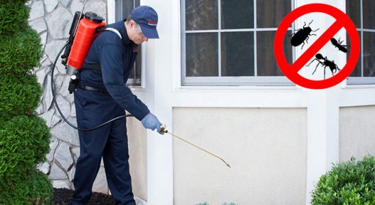 Karacasu Dezenfeksiyon böcek ilaçlama ve haşere kontrolü — ilaclama-tr.com